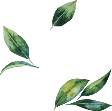 a watercolor painting of green leaves