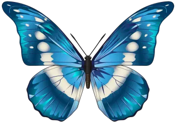 a blue butterfly on a white background