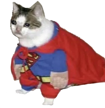 a cat wearing a superman costume