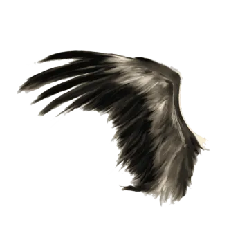 a black and white drawing of an eagle
