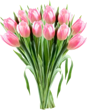 a bunch of pink tulipps