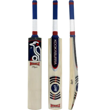 a pair of cricket bats and bats