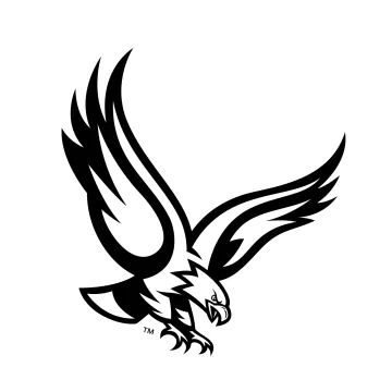 a black and white image of an eagle