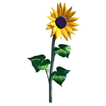 a yellow sunflower on a white background