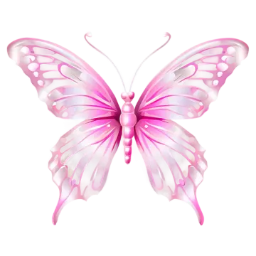 a pink butterfly on a white background