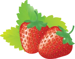 two strawberries on a white background