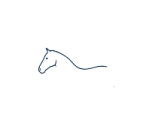 a drawing of a horse's head