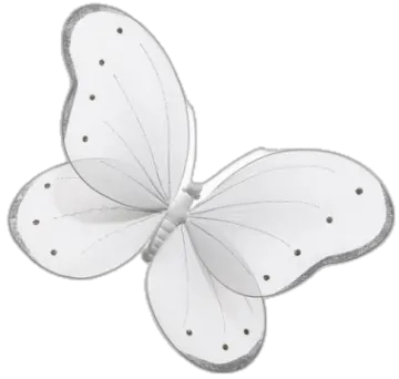 an image of a white butterfly
