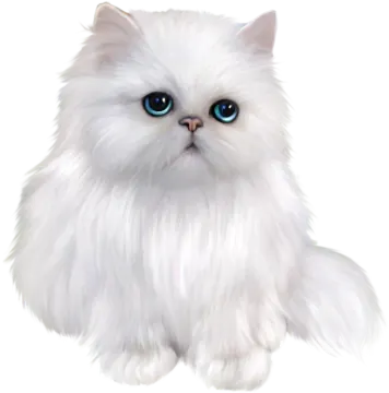 a white cat with blue eyes
