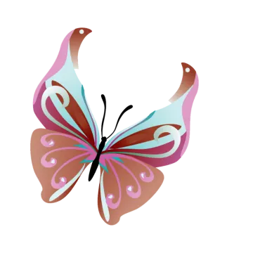 a colorful butterfly on a white background