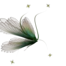 a white flower with green leaves and stars