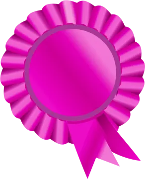 a pink rosette with a ribbon