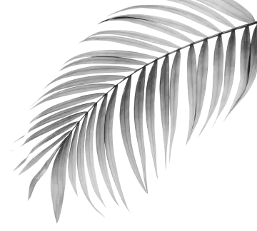 a black and white photo of palm leaves