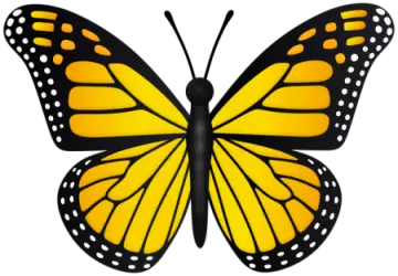a yellow butterfly