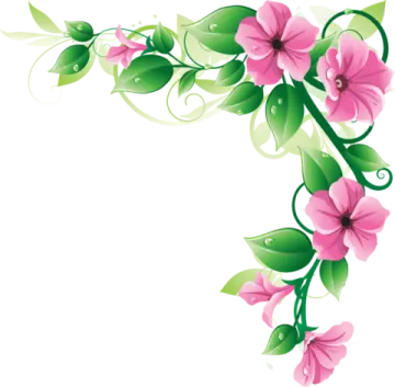 a pink flower border with green leaves
