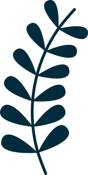 a black and white silhouette of a leaf