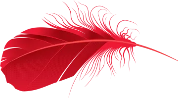 a red feather on white background