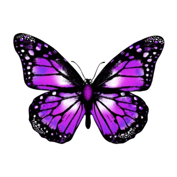 a purple butterfly on a white background