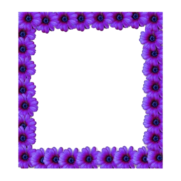 a purple flower frame on a white background