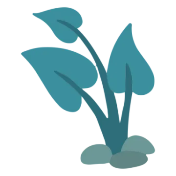an illustration of a plant with leaves