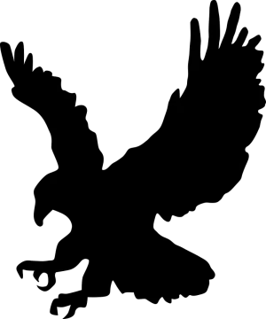 an eagle silhouetted on a white background