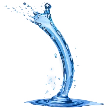 a splash of water on a white background