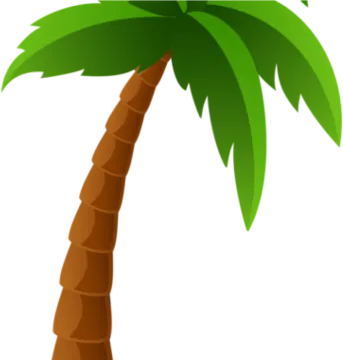 a palm tree