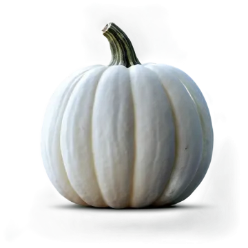 a white pumpkin sitting on top of a table
