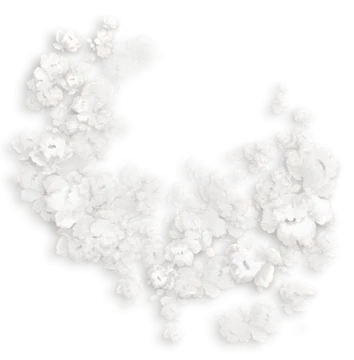 white flowers on a white background