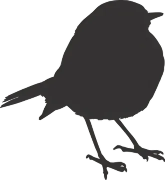a black bird silhouetted on a white background