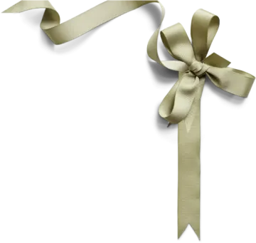 a ribbon with a bow on it