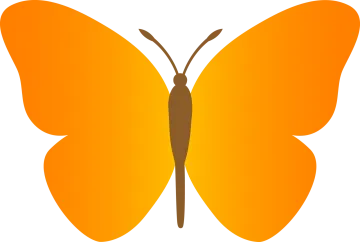 an orange butterfly on a white background