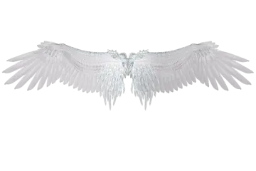 a white bird with wings