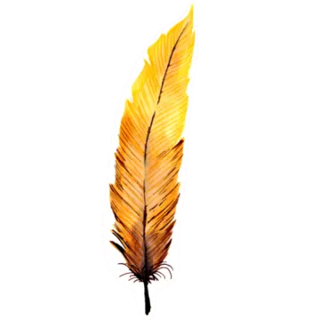 a yellow feather on a white background