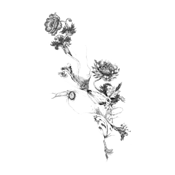 a drawing of flowers on a white background