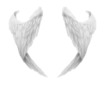 two white wings on a white background