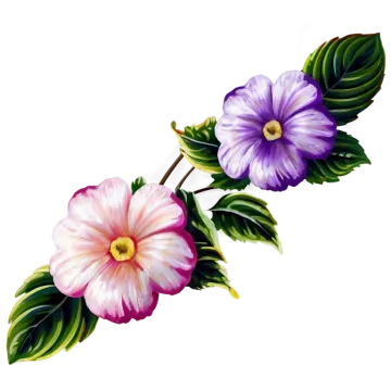 a painting of two flowers on a white background
