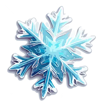 an illustration of a snowflorer