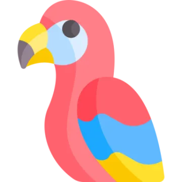 a colorful bird on a white background