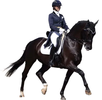 a woman riding on the back of a brown horse