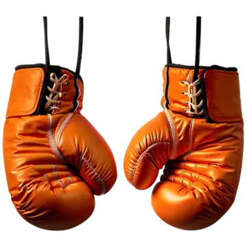 a pair of boxing gloves on a white background