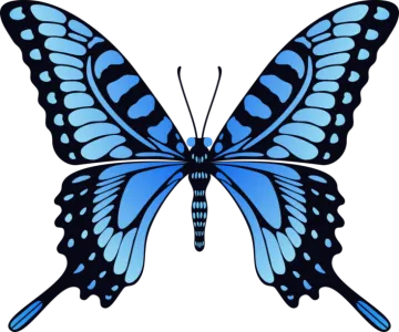 a blue butterfly on a white background