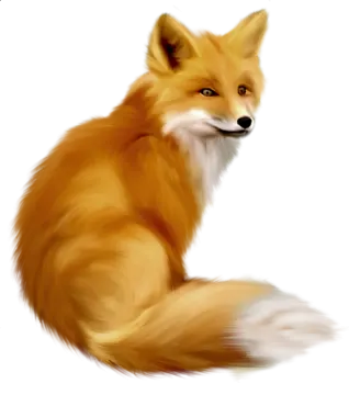 a drawing of a fox sitting down