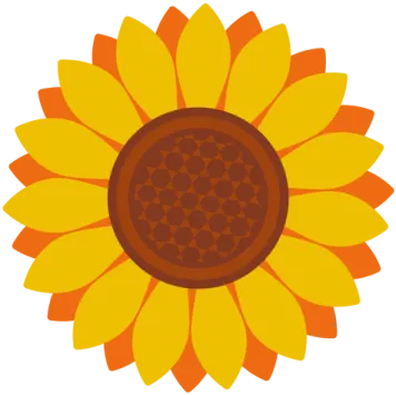a sunflower on a white background