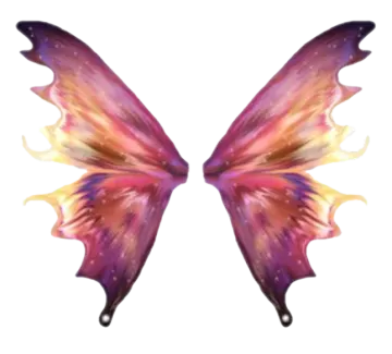 a colorful butterfly on a white background