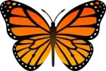 a butterfly with orange and black wings