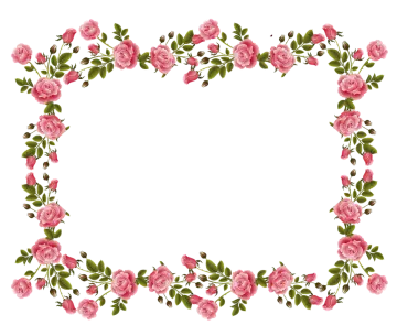 a pink rose border with green leaves