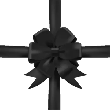 a black bow on a white background