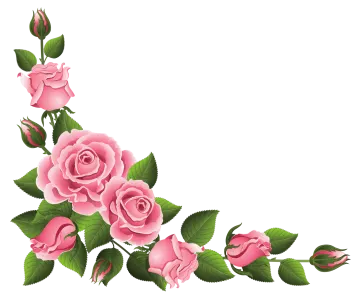 a pink rose border with green leaves