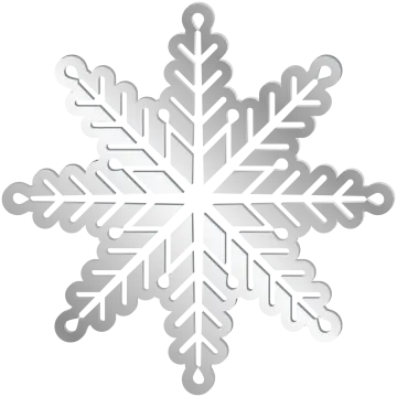 a silver snowflake on a white background